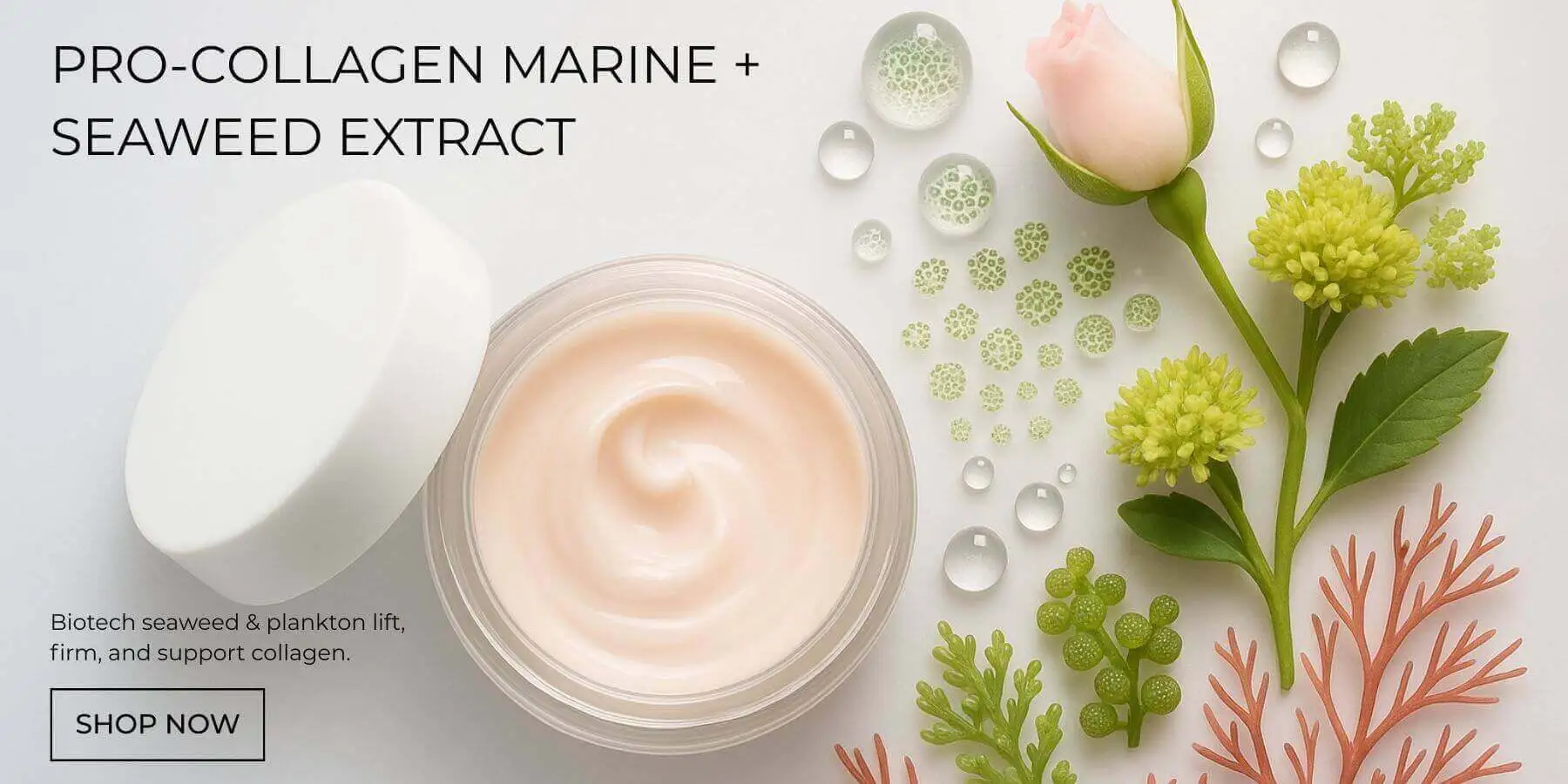 Open jar of Insane Glow Pro-Collagen Marine Cream surrounded by seaweed, rose, and botanical extracts with text: Biotech seaweed and plankton lift, firm, and support collagen.