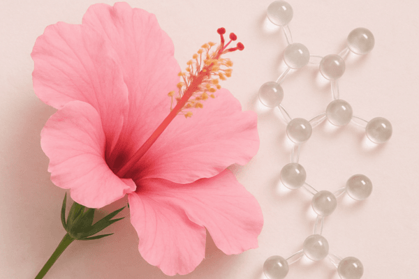 Inside our formulas Hibiscus flower complex for expression line smoothing